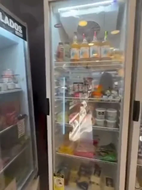 Heladeras y freezers vidriados con productos refrigerados y congelados